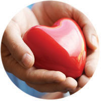 Healthy Heart is in Your Hands